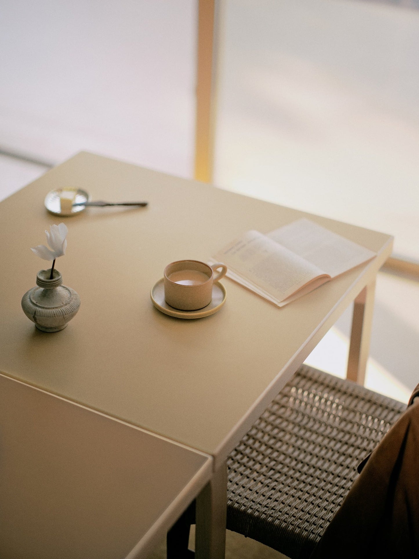 Aalto foldable table DL81C, birch - clay/walnut linoleum