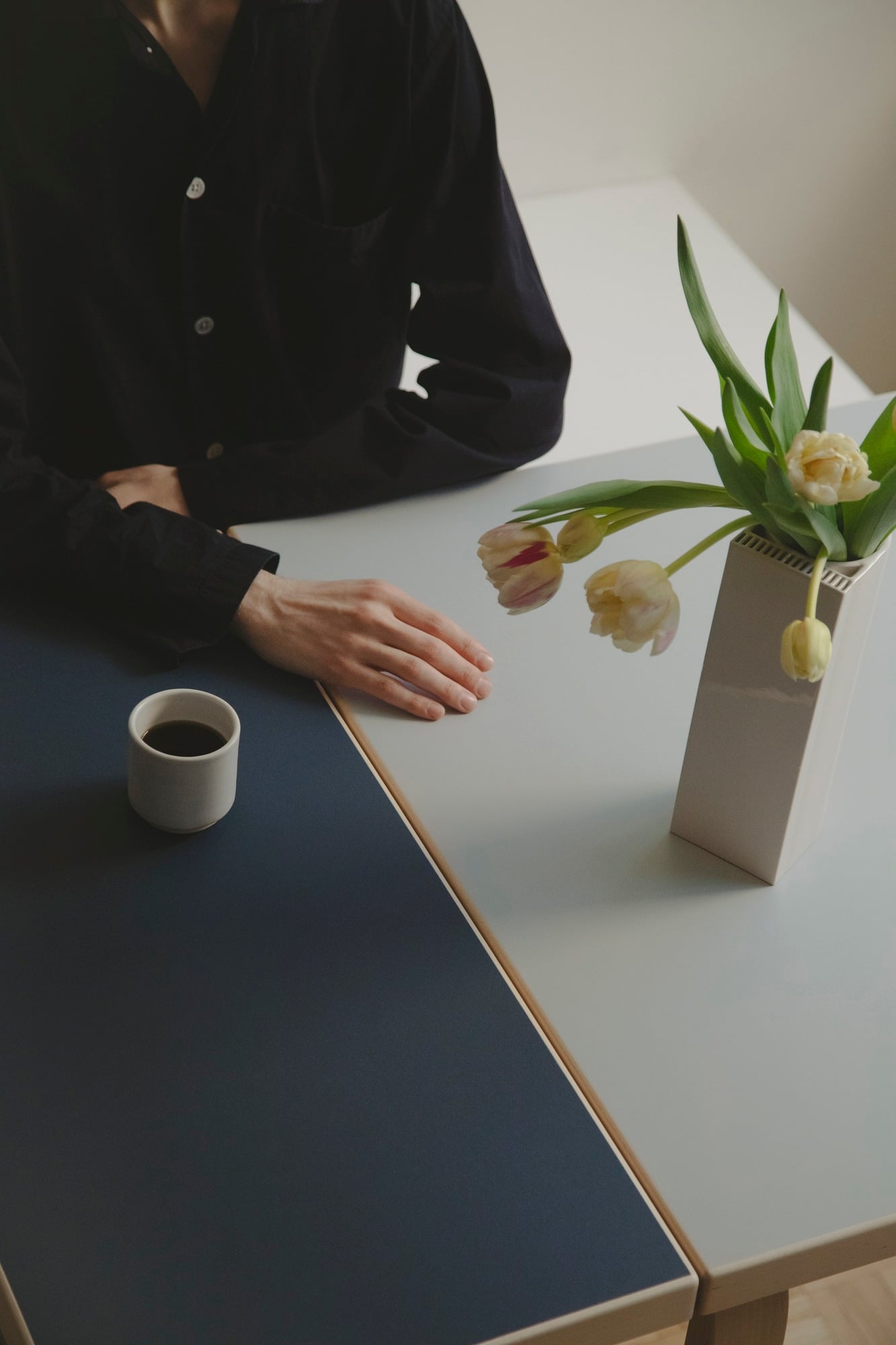Aalto foldable table DL81C, birch -vapour/smokey blue linoleum
