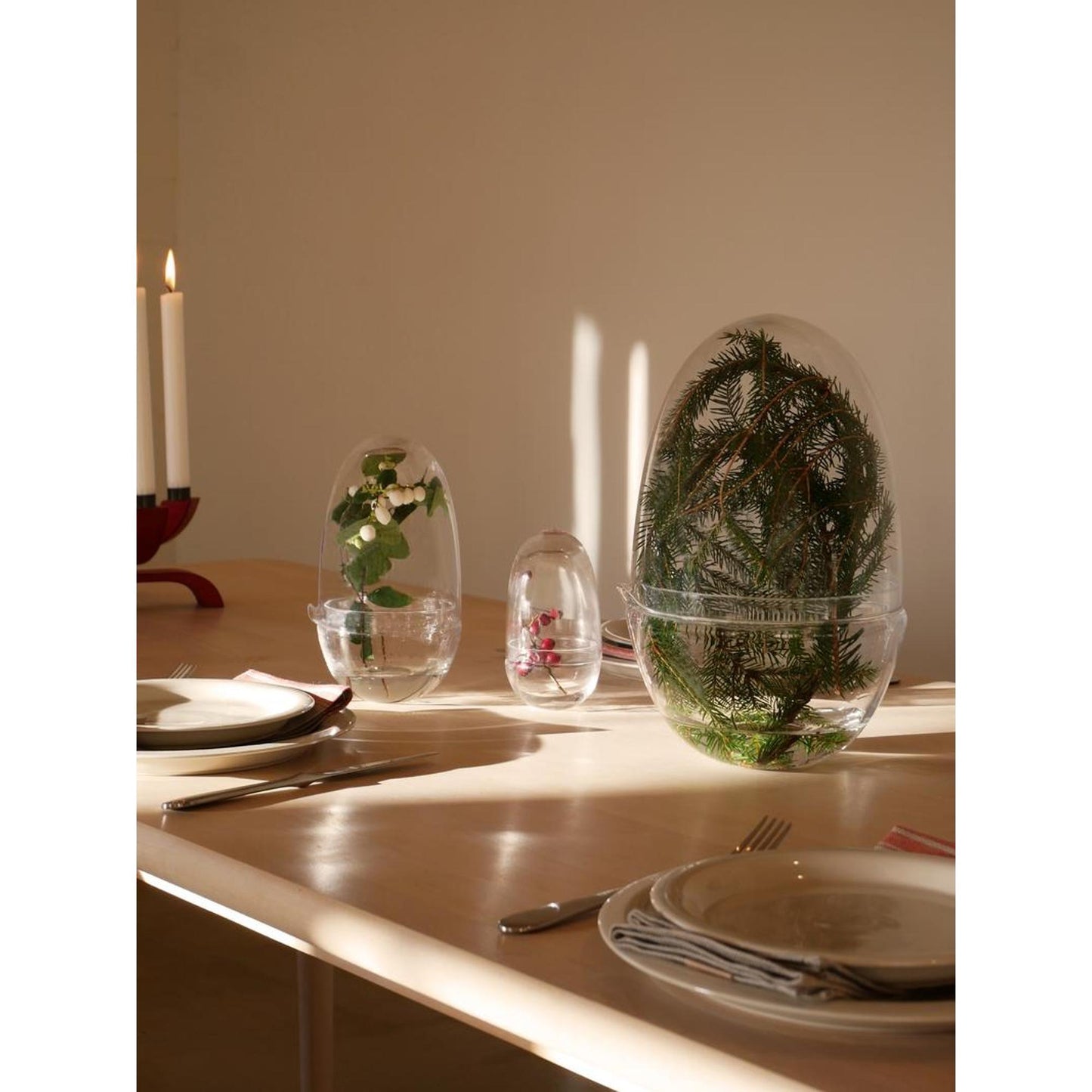 Design House Stockholm Grow Vase Medium Clear