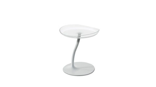 MUCIDULE OCCASIONAL TABLE by Roche Bobois