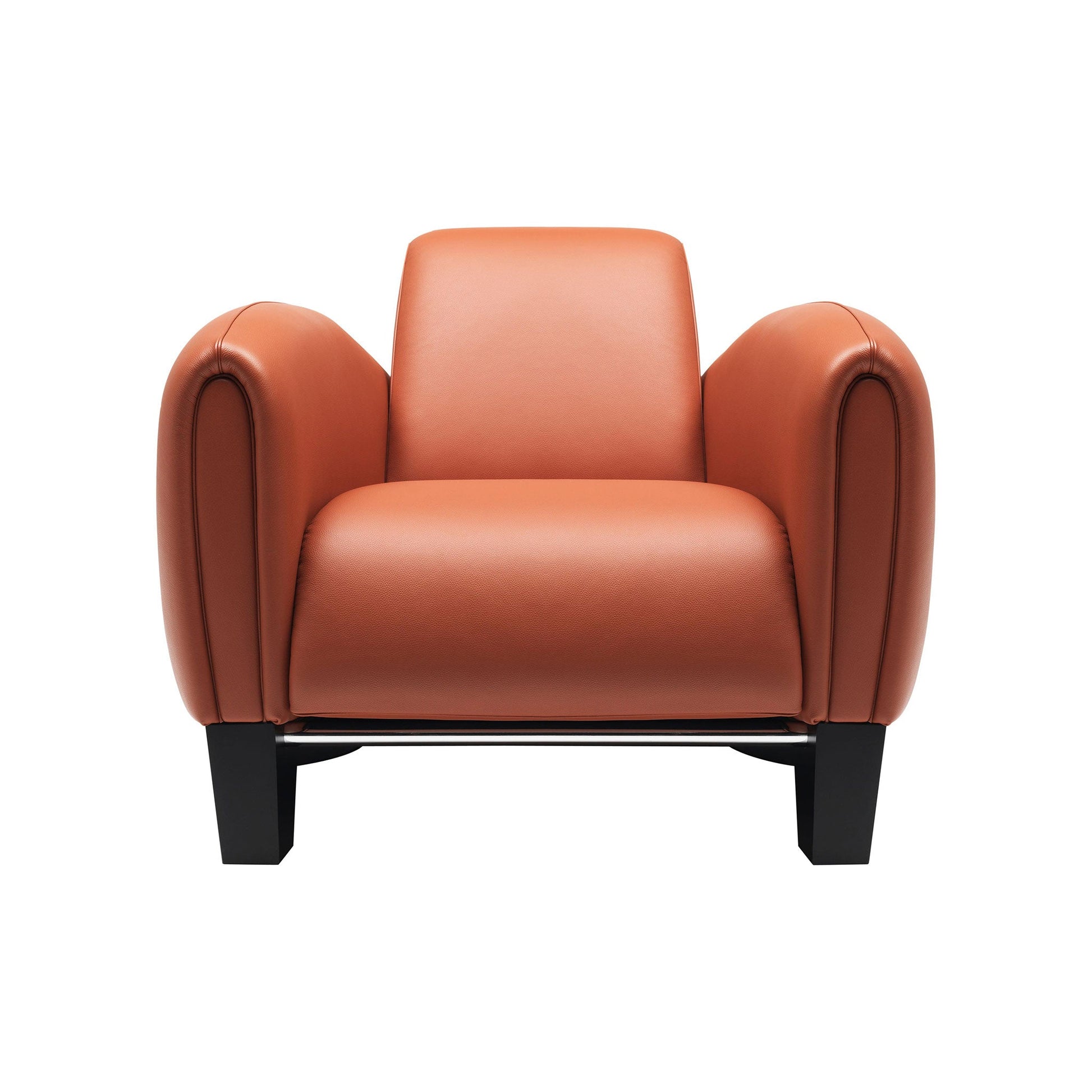 Ds-57 - Leather Armchair by De Sede