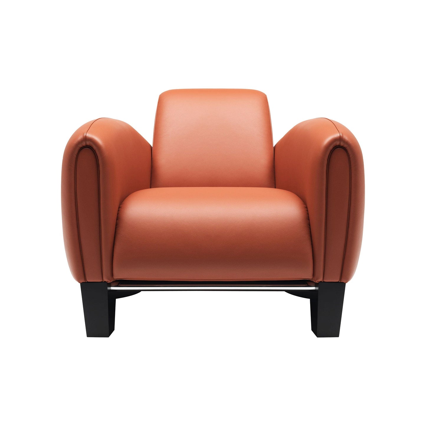 Ds-57 - Leather Armchair by De Sede
