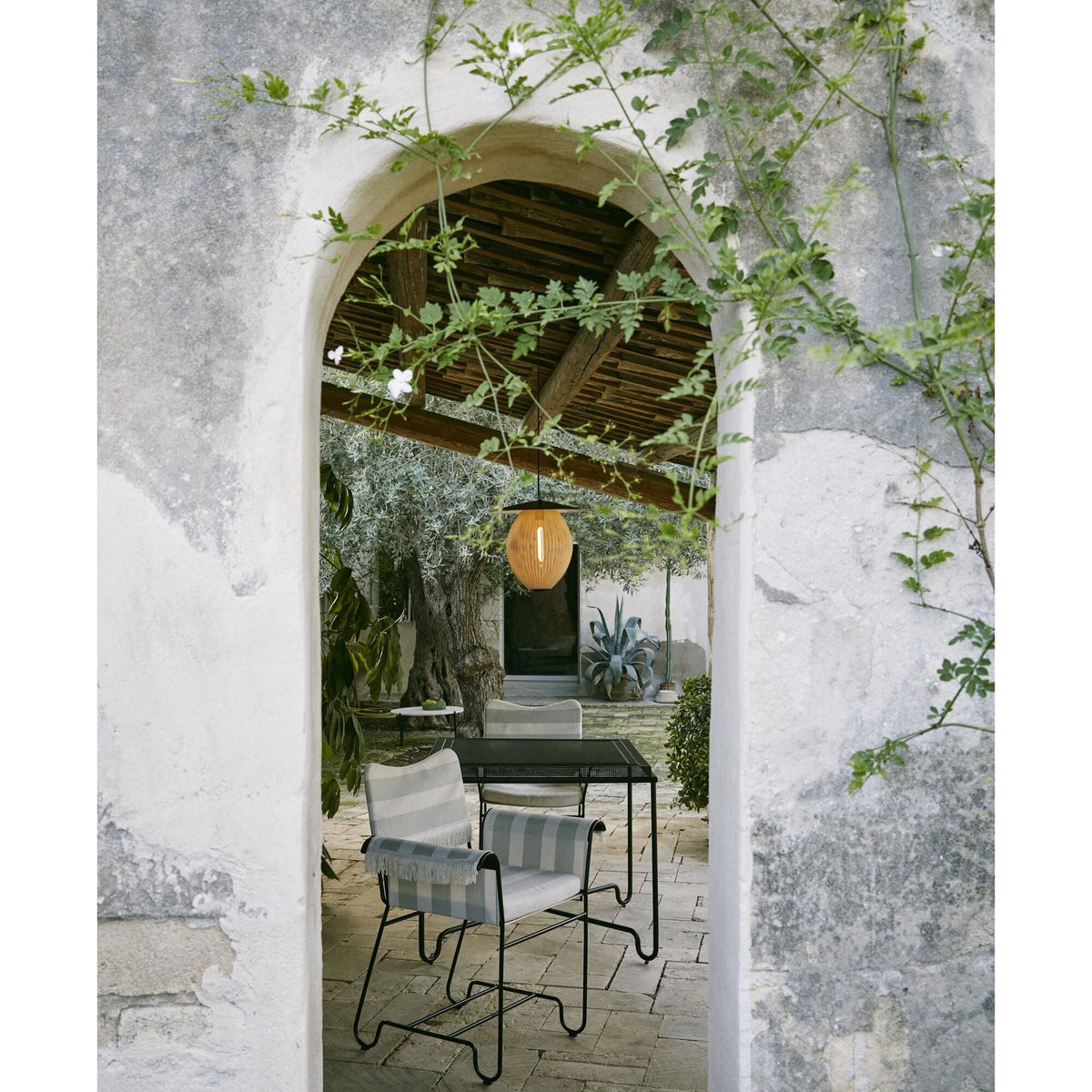 Tropique Dining Chair