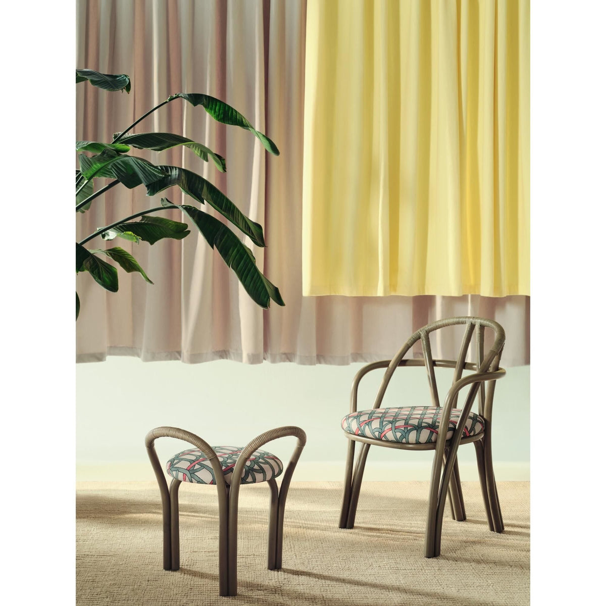 Bistra Dining Chair With Armrests Olive Stained