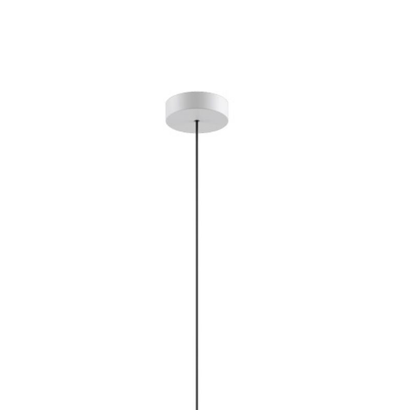 Single Canopy by Lodes