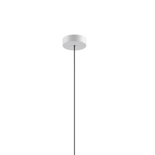 Single Canopy by Lodes