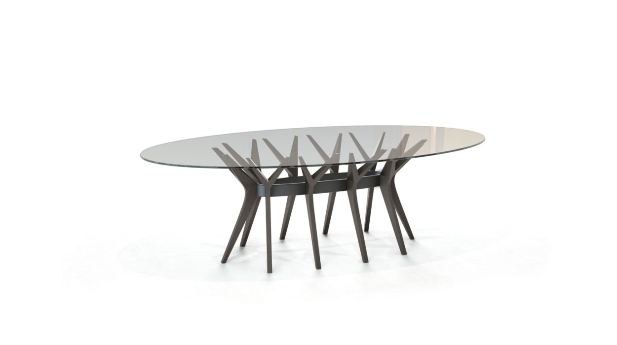 ASTER OVAL DINING TABLE by Roche Bobois