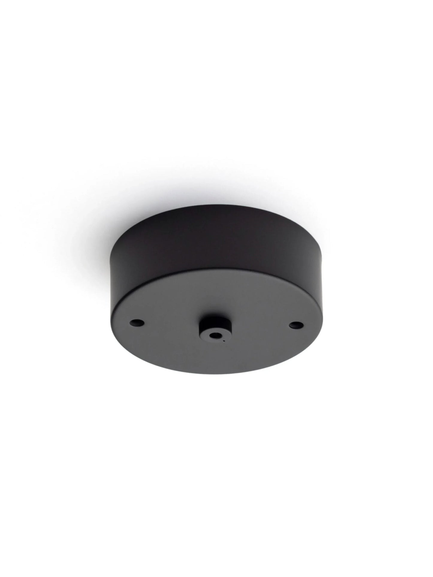 73.1 Pendant Lamp