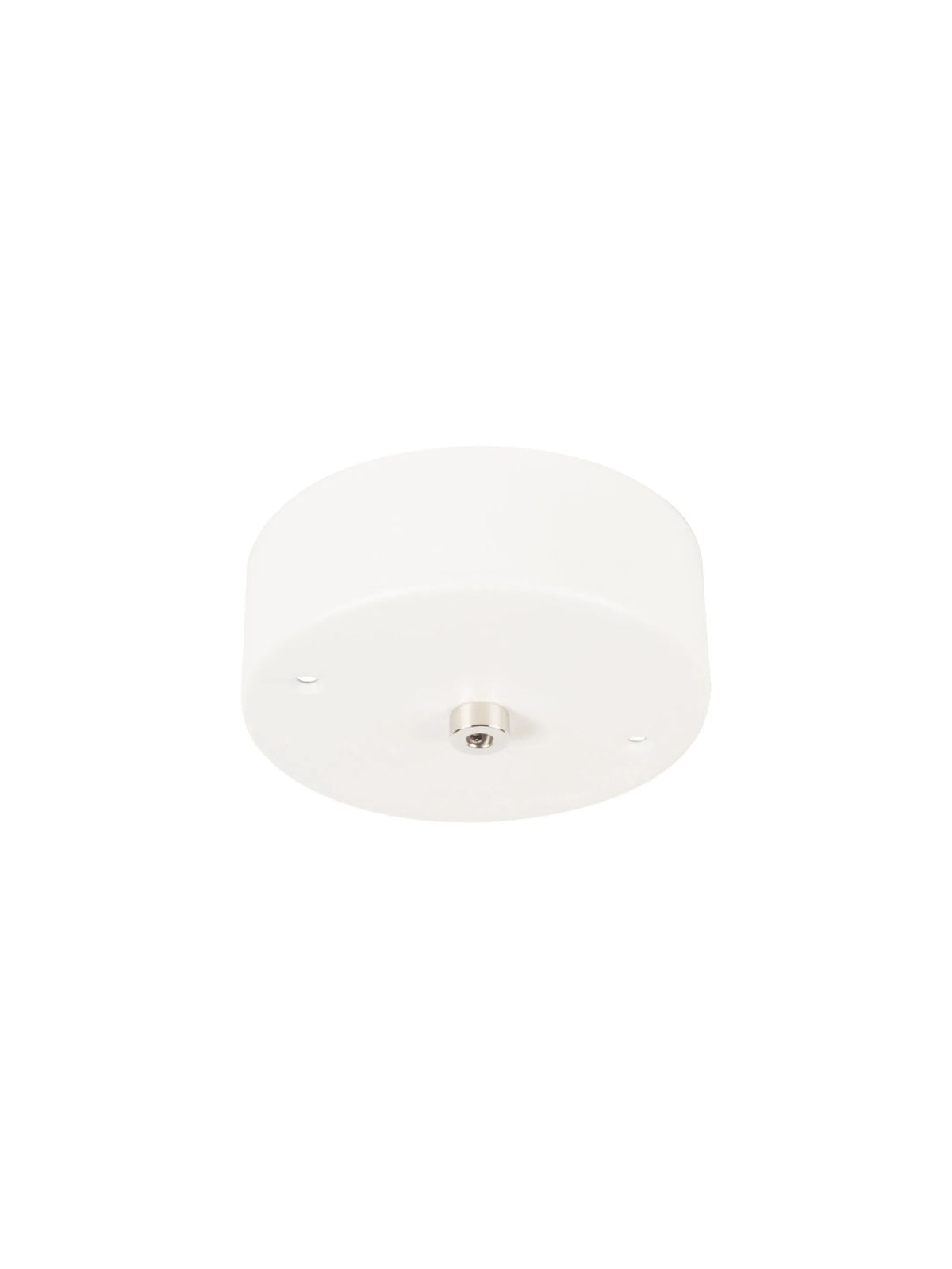 73.1 Pendant Lamp