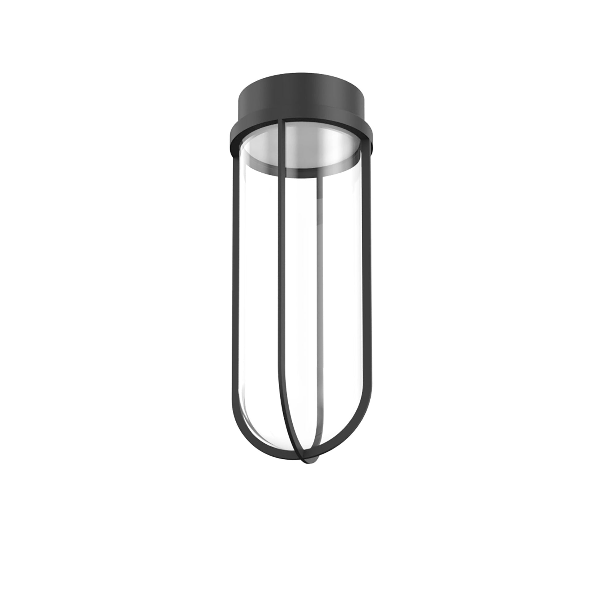 In Vitro Ceiling Lamp