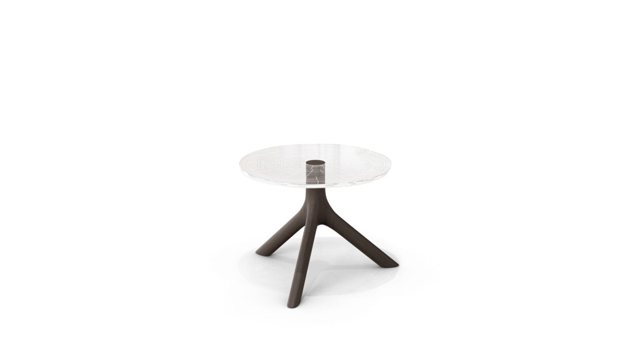 PLEXIWOOD COCKTAIL TABLE - H.30CM by Roche Bobois