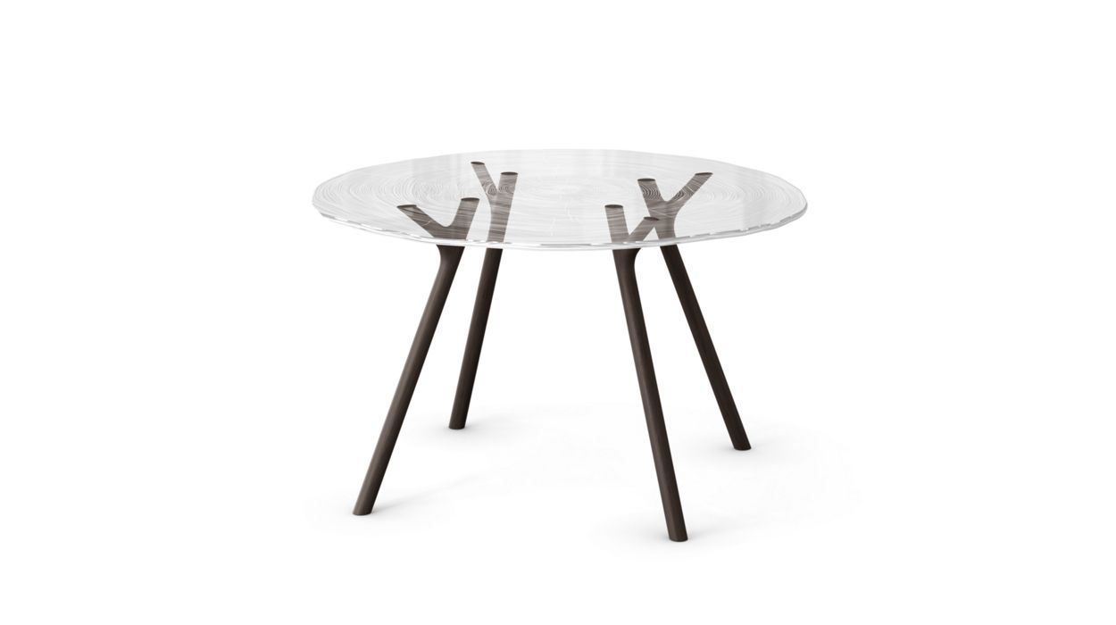 PLEXIWOOD DINING TABLE by Roche Bobois