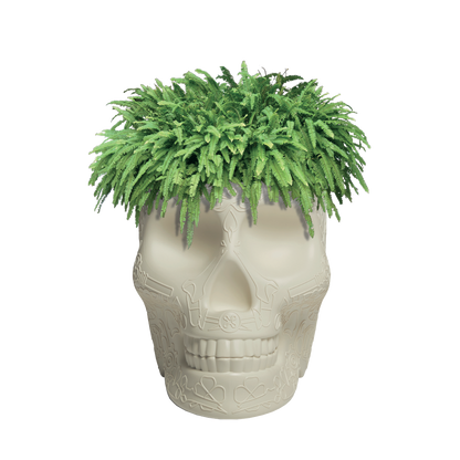 Mexico Planter and Champagne Cooler by Qeeboo #Ivory