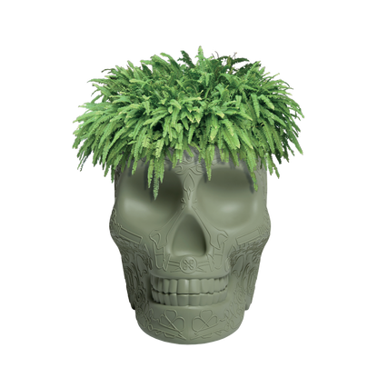 Mexico Planter and Champagne Cooler by Qeeboo #Balsam Green