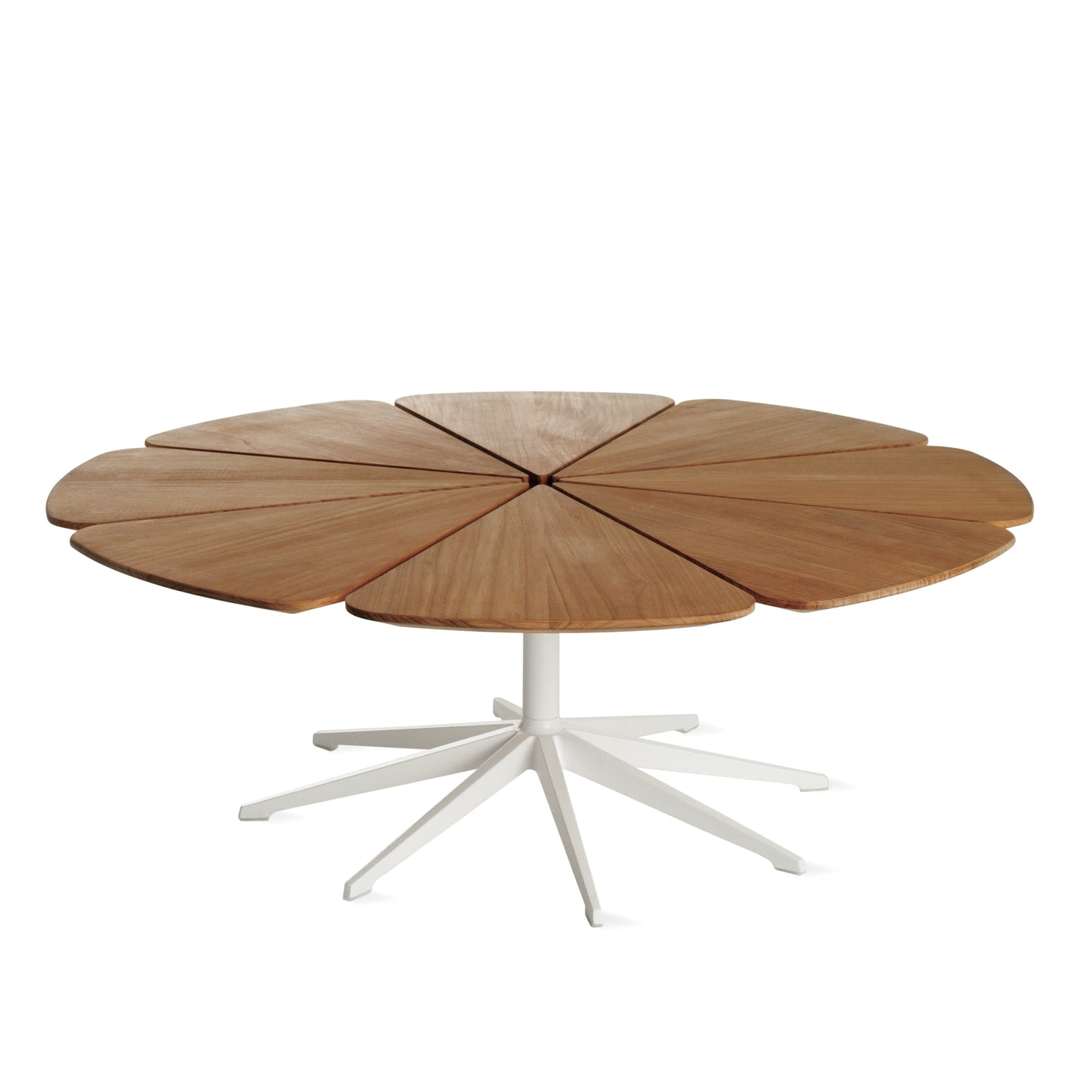 Petal - Polyurethane Coffee Table