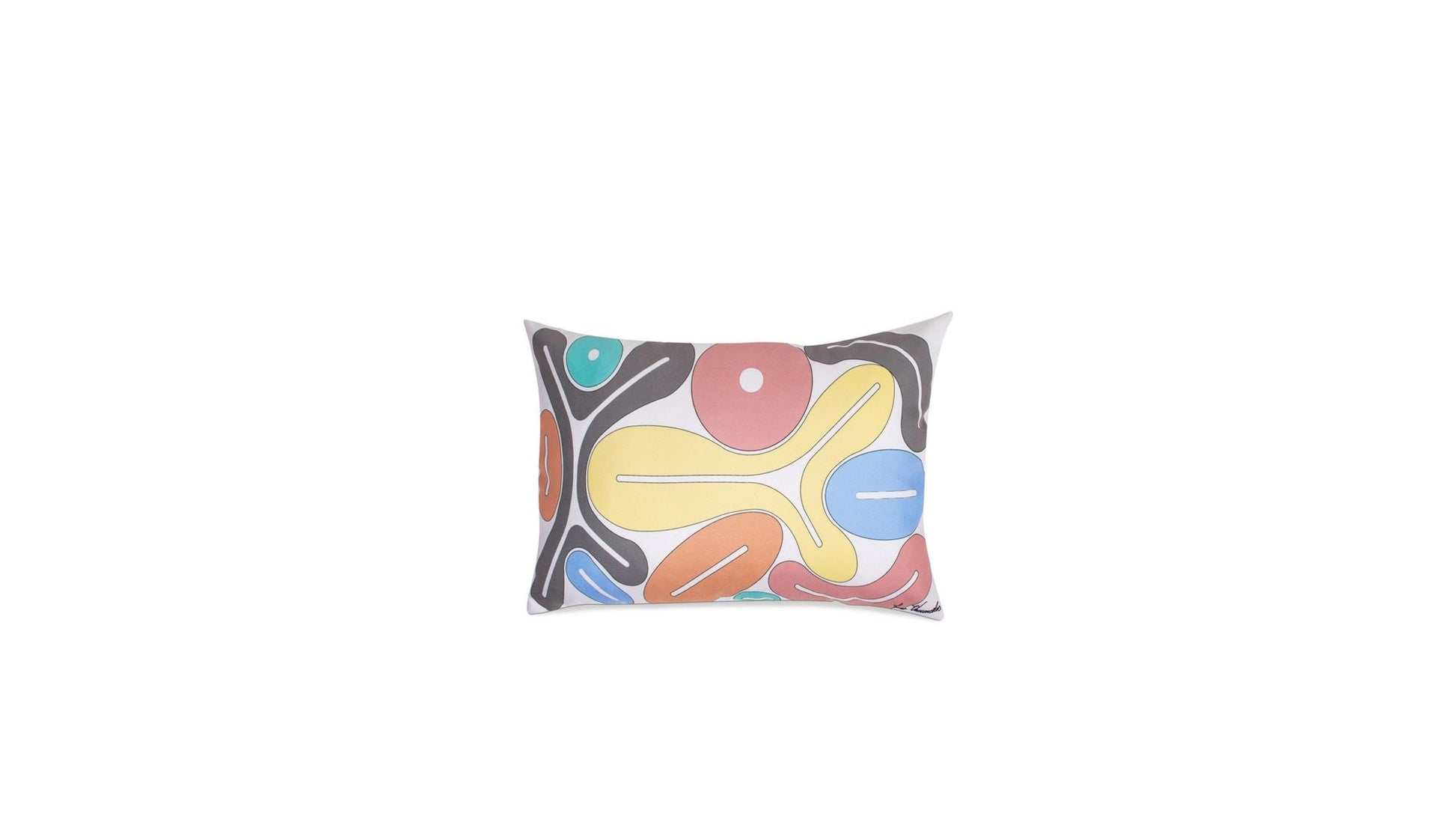 BOMBOM  SEMI FRIO CUSHION by Roche Bobois