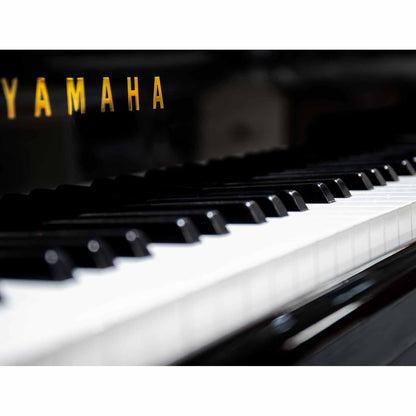 FILIGREE GRAND PIANO - Piano