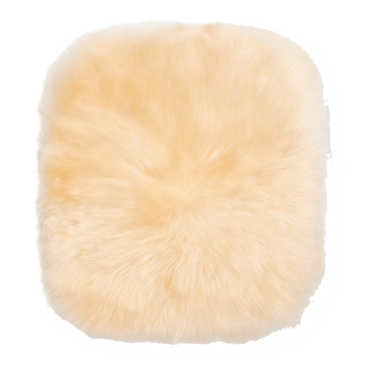 CU CH24 Lambskin | Accessories