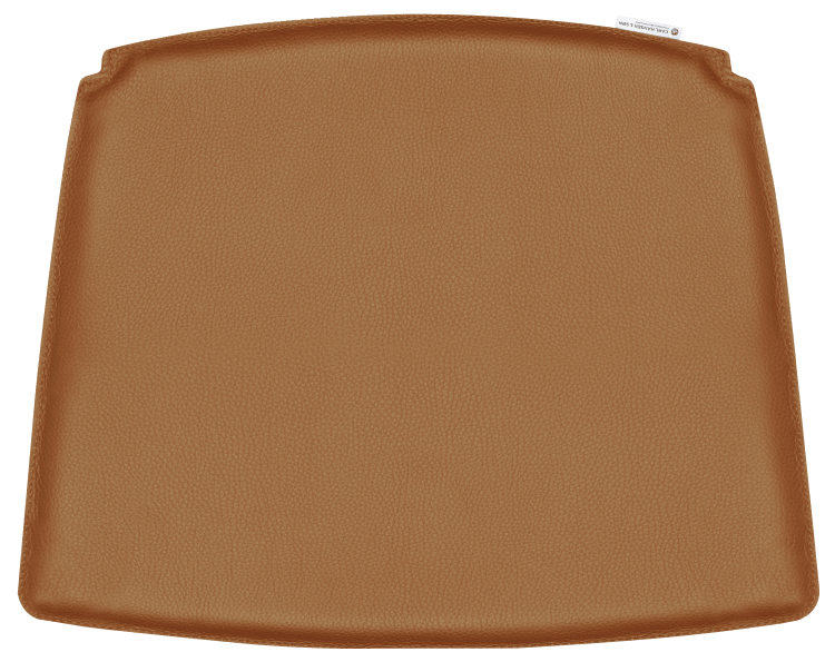 CU CH22 | Cushion (Request Info)