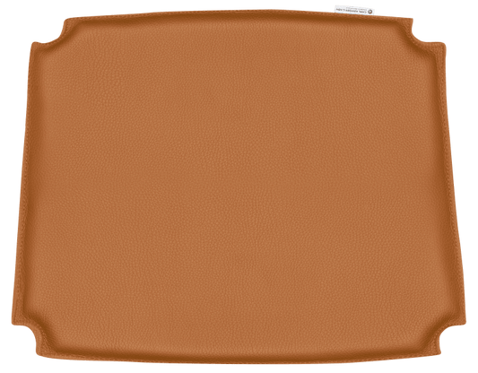 CU CH36 | Cushion