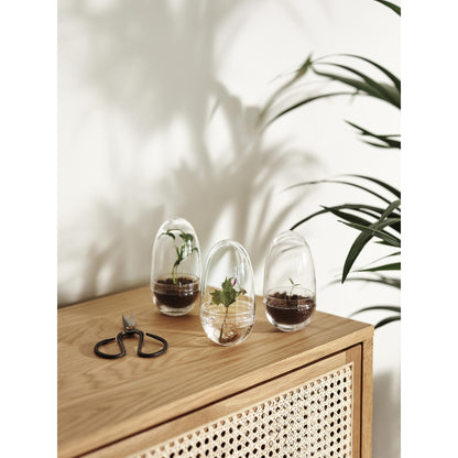 Design House Stockholm Grow Vase Medium Clear