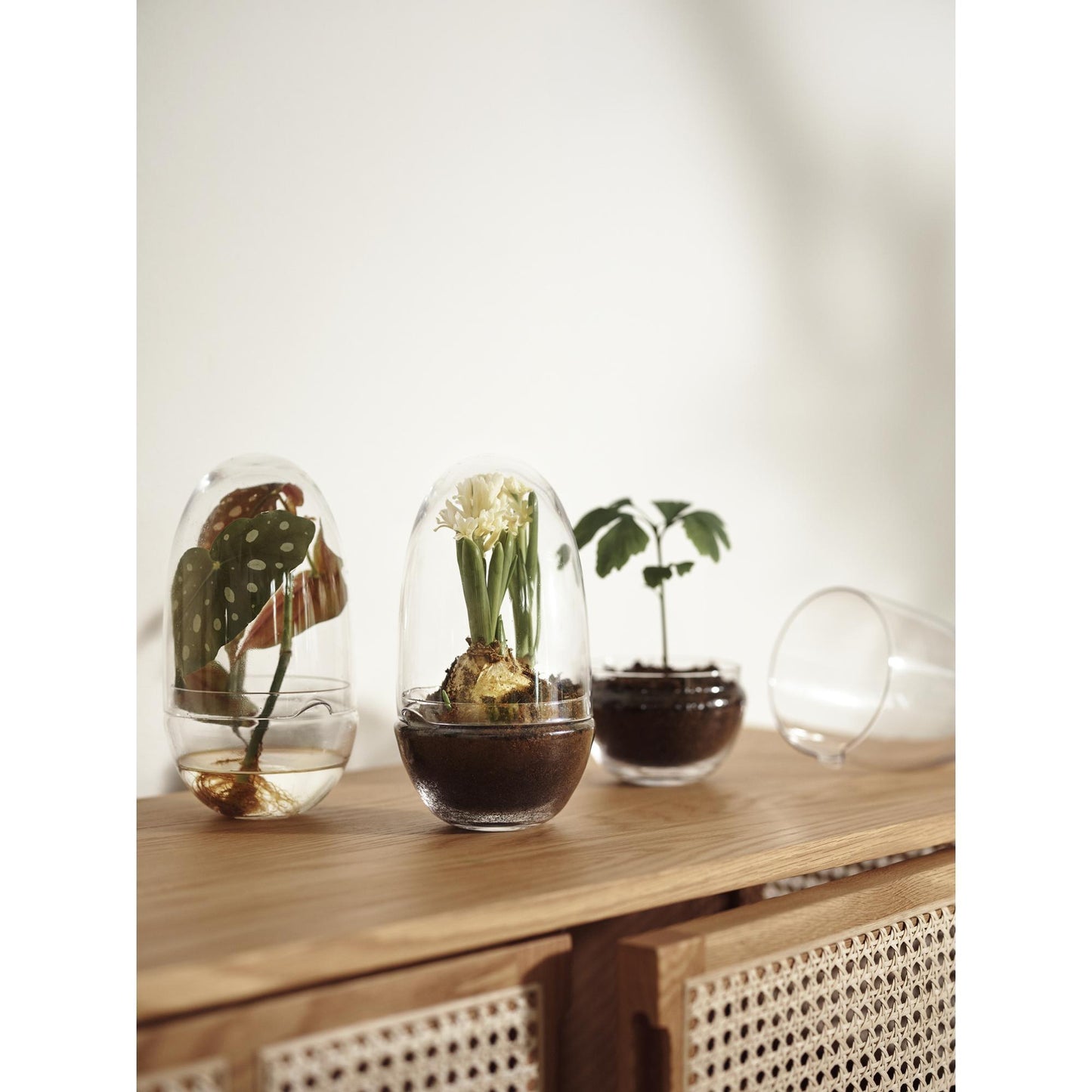 Design House Stockholm Grow Vase Medium Clear