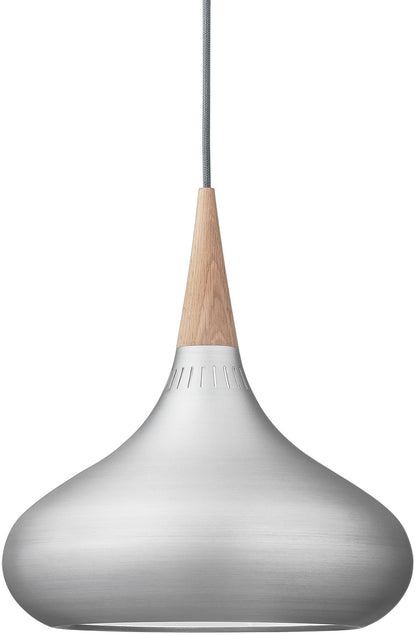 Avion pendant