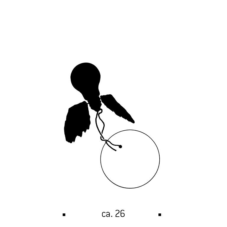 Size