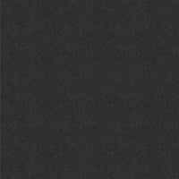 B01 FERROMICACEO
