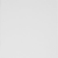 B12 WHITE - MATT