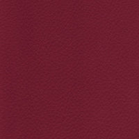 R807 col. bordeaux