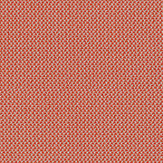CREDO_01727.85_grapefruit-1