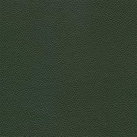 SC 178 Alpi