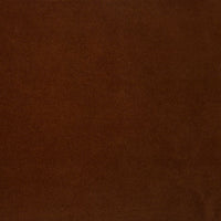 Ruggine/Rust