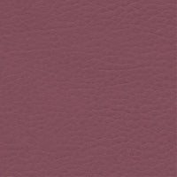 Passion Fruit 744-93053