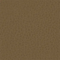 Snickerdodle 733-35143