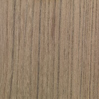 Swamp Elm