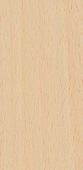 Beech effect