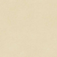 Tapioca (K102124)