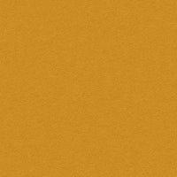 Tinted (K102134)