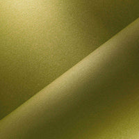 PISTACHO (466)