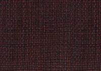 RTM27