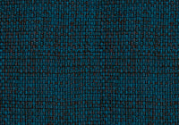 RTM77