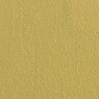 Apple (K12073)