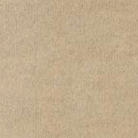 Beige (02AL)