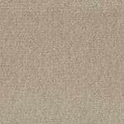 Beige (02IS)