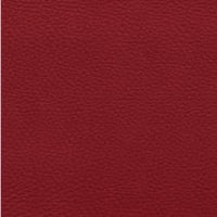 Cherry (65VI)
