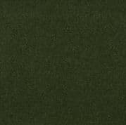 Olive (06IS)