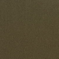Olive (K12065)