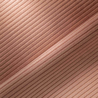 POUDRE (3100)
